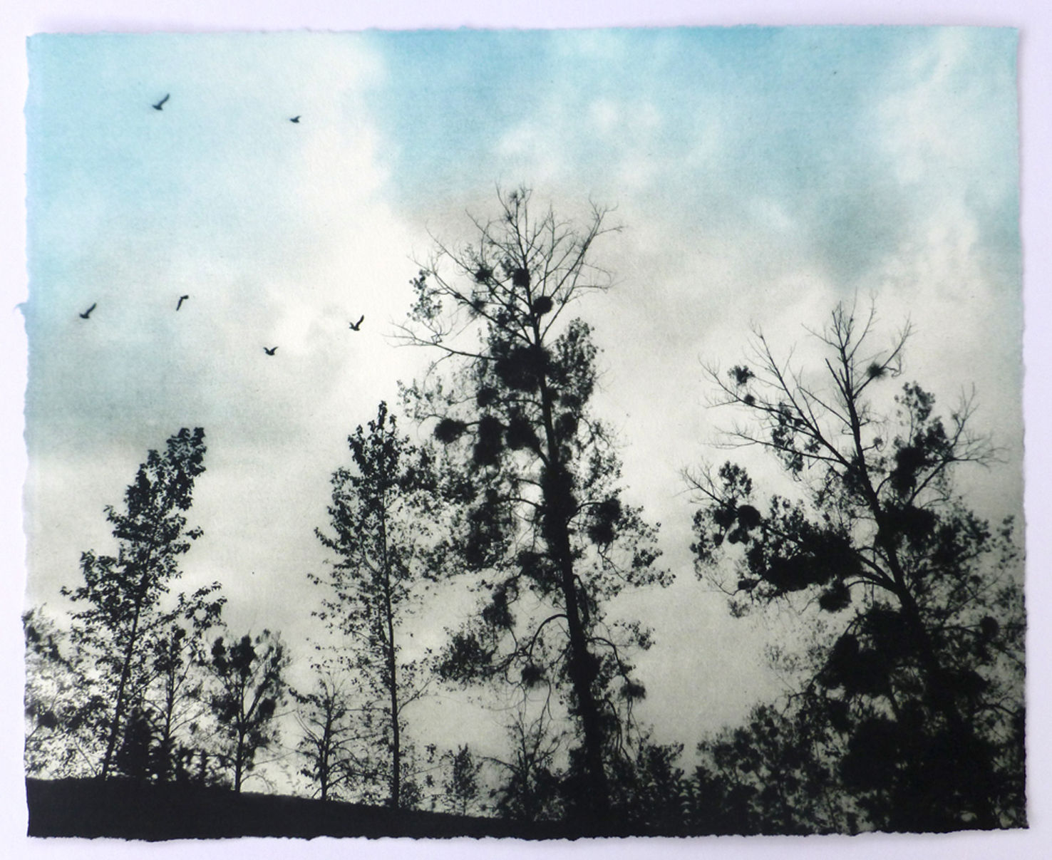 Luella Martin, Trees & Birds