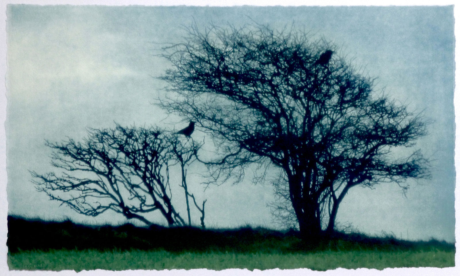 Luella Martin, Two Crows