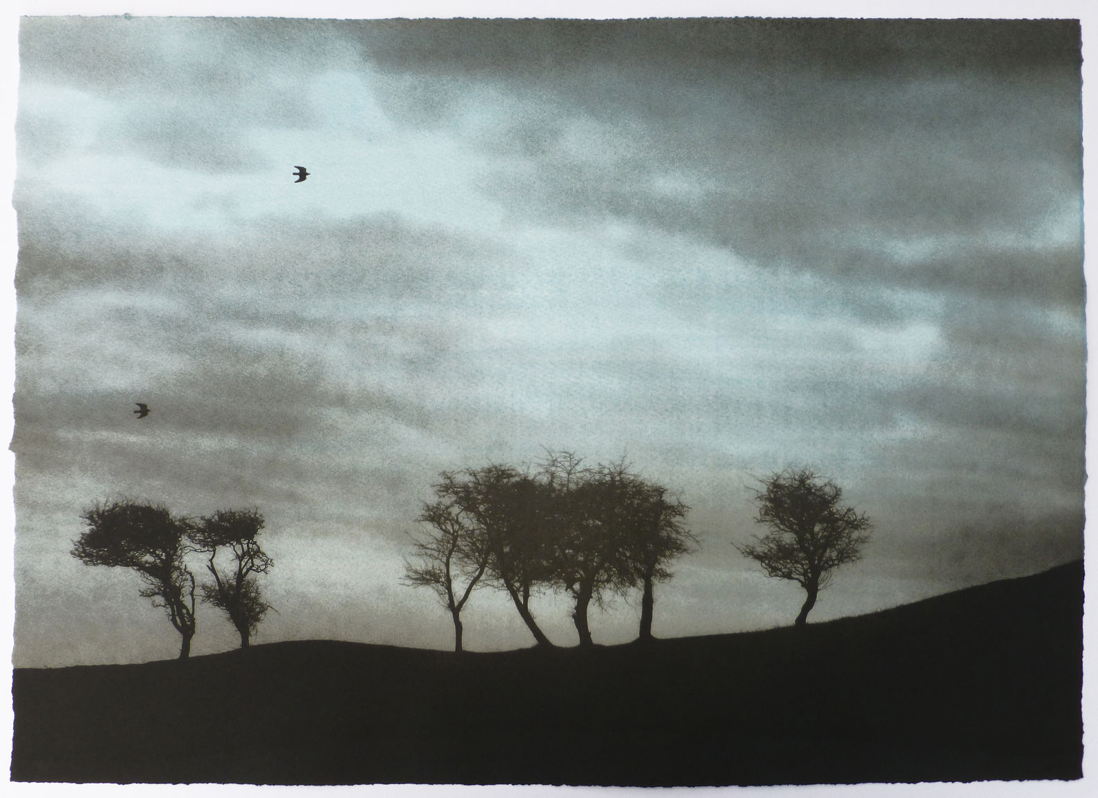 Luella Martin, Spring On The Downs