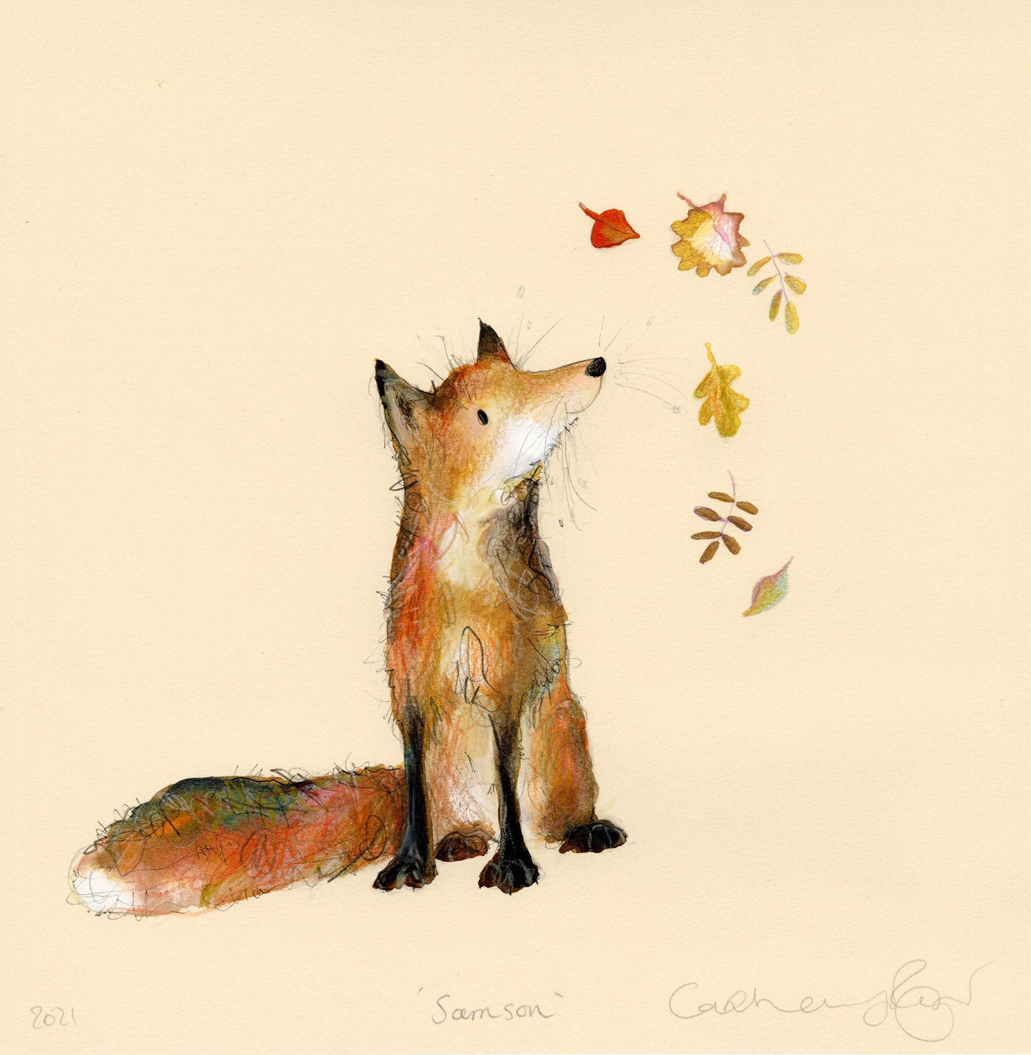 Catherine Rayner, Samson, 2021