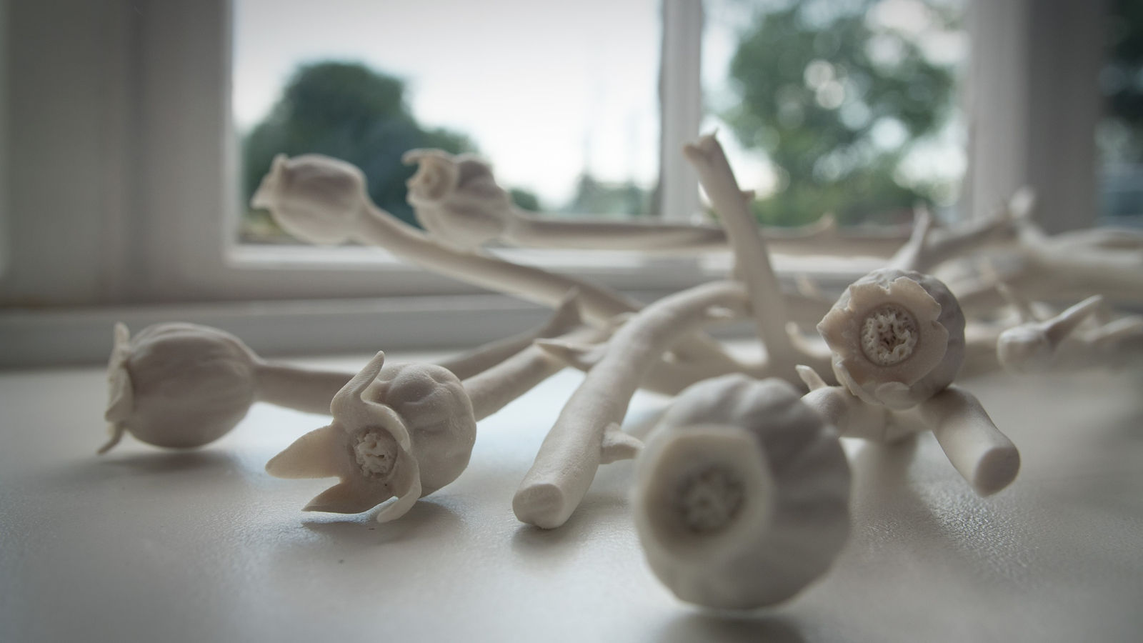 Emma Jagare, Briar Rose, Last Summer, 2020