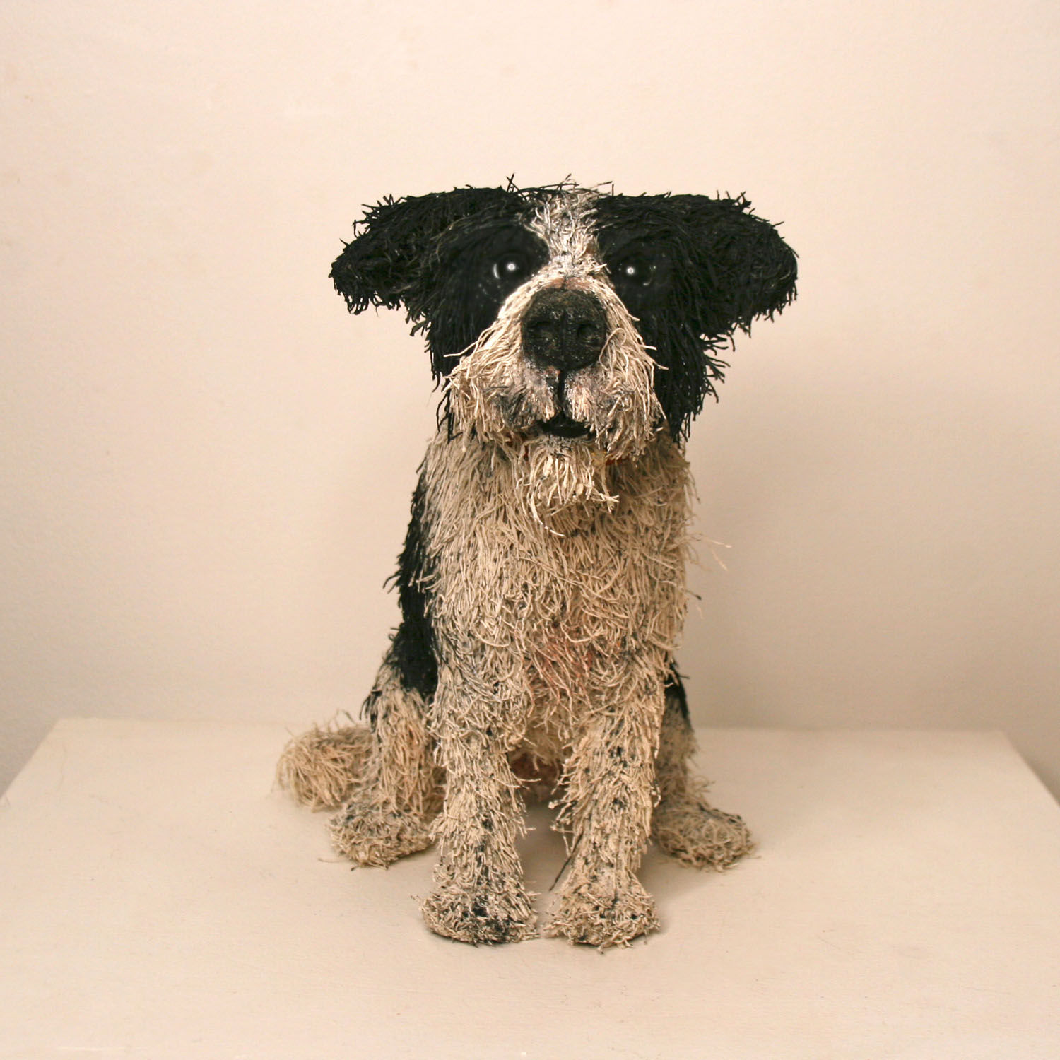 Gemma Rees, Fred (Mixed Breed)