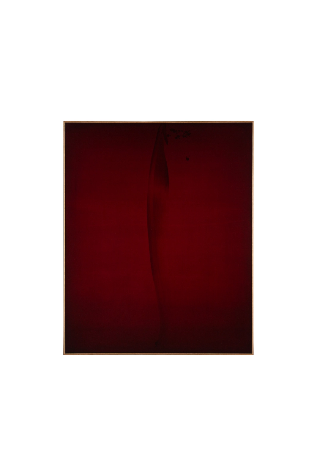 Richard Zinon, Penombra IX, 2026