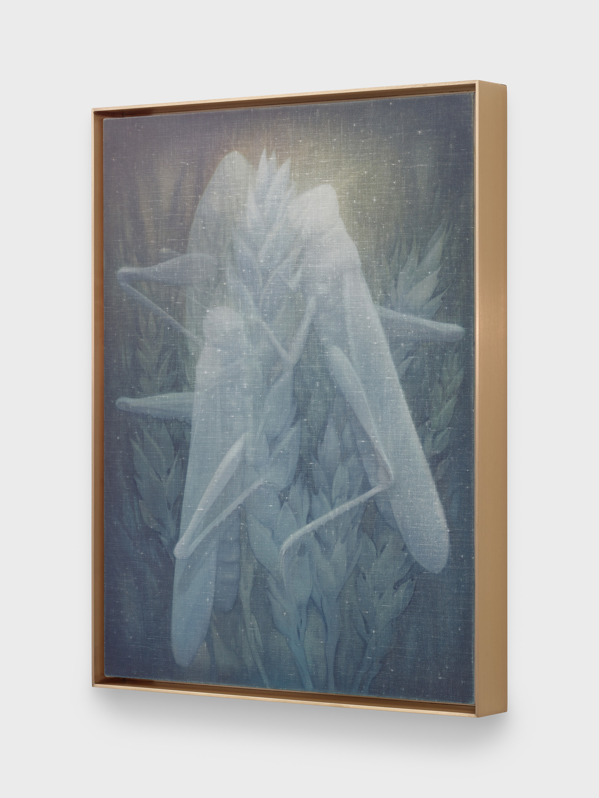 Theodora Allen, Locust, 2024