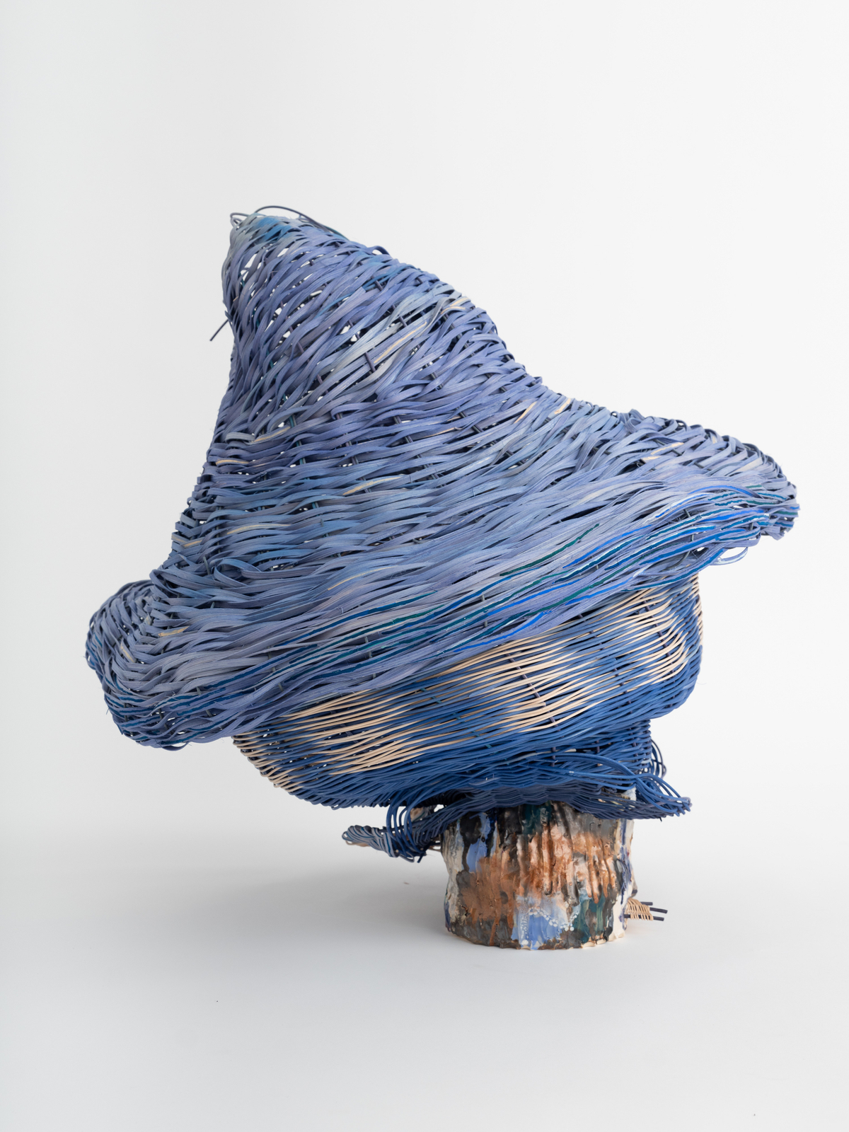 Dee Clements, Grotesque Flowers; Chosen/not chosen, 2024