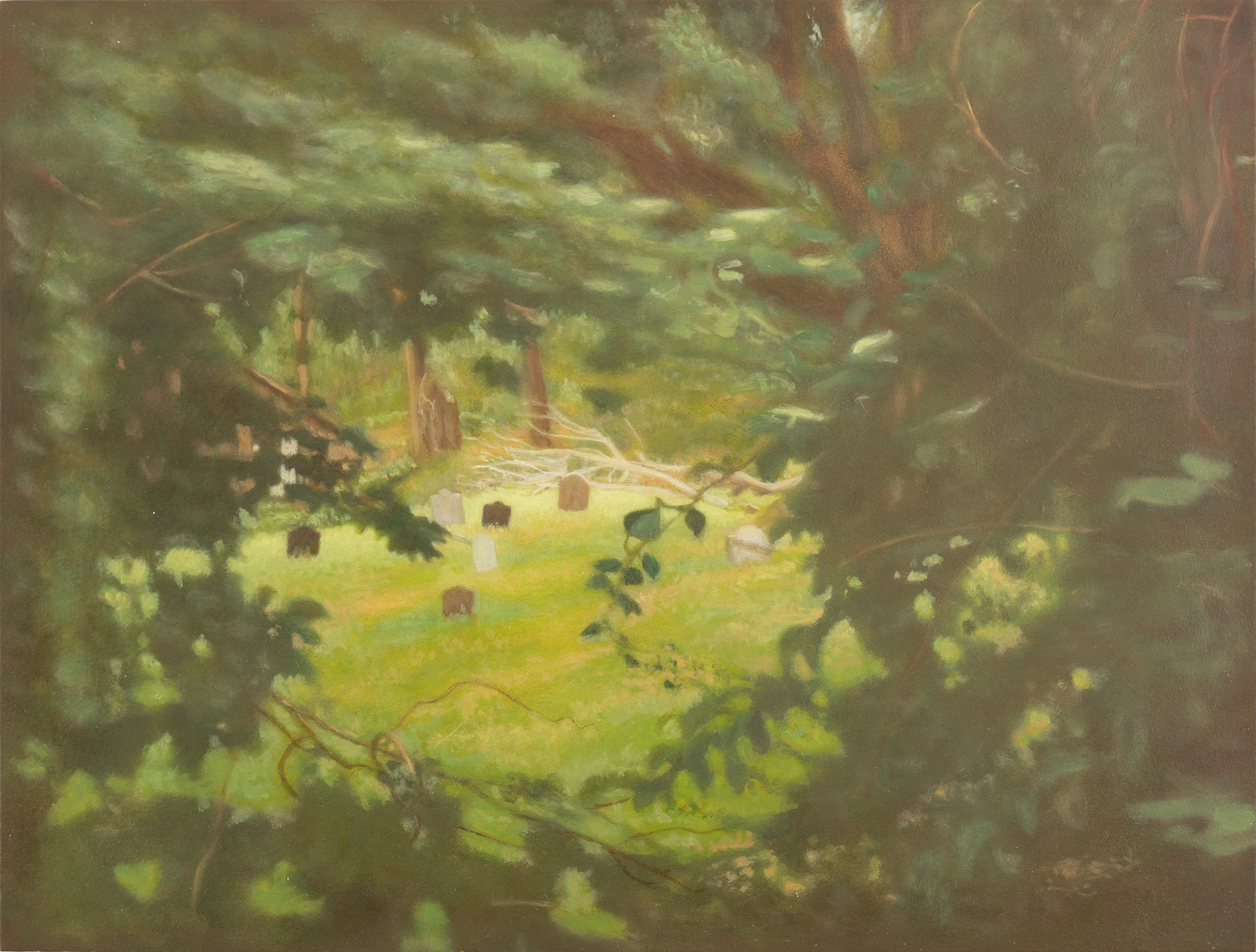 Matvey Levenstein, Terry Hill in Summer, 2012