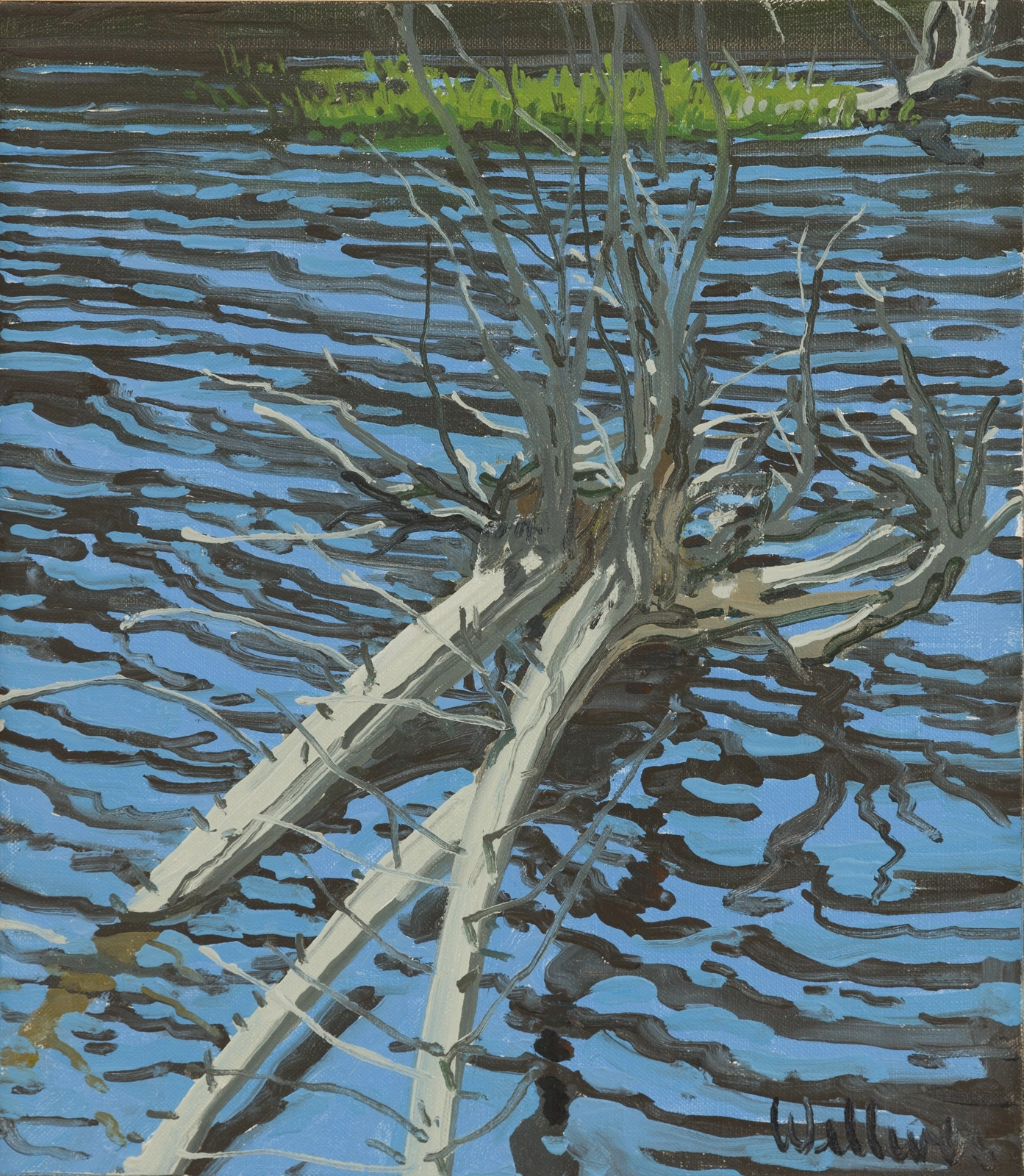 Neil Welliver, Drowned Cedar, ca. 1980s