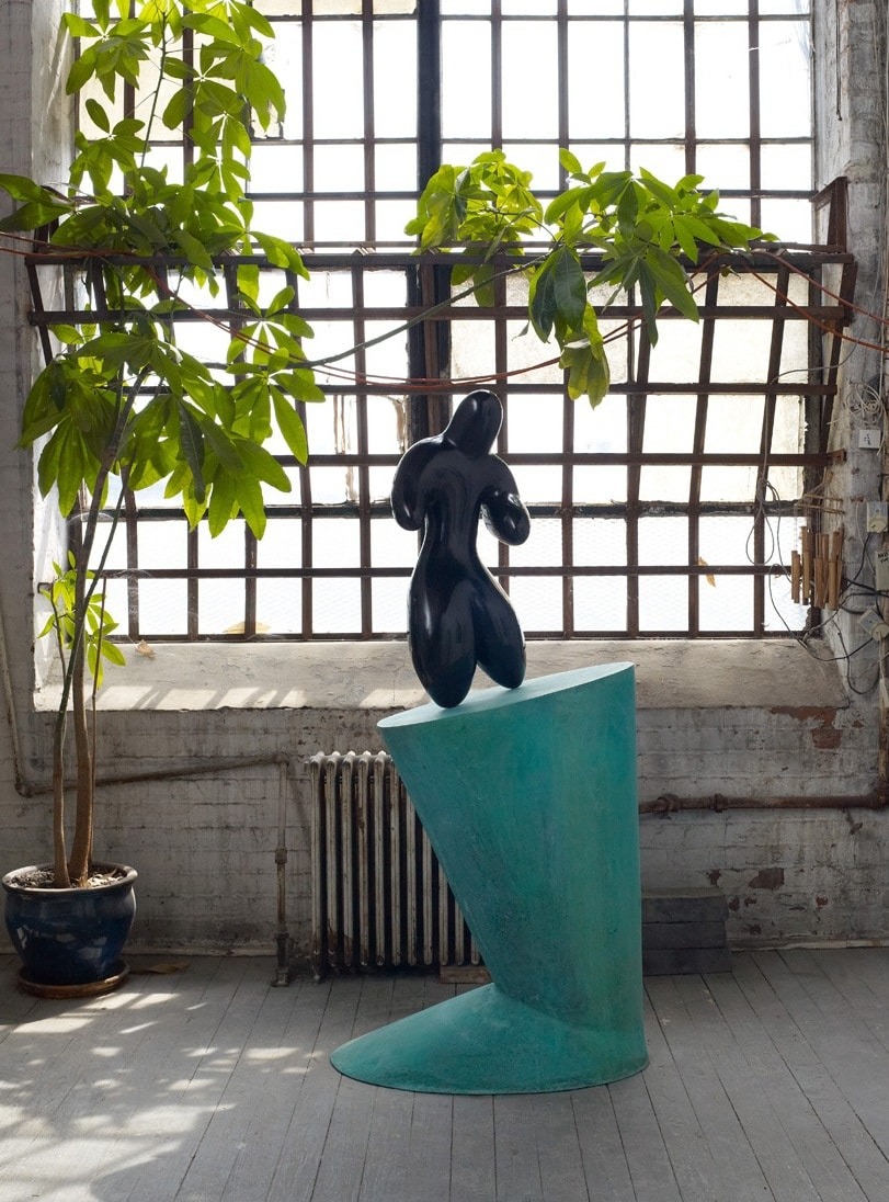 Saint Clair Cemin, Shadow, 2012