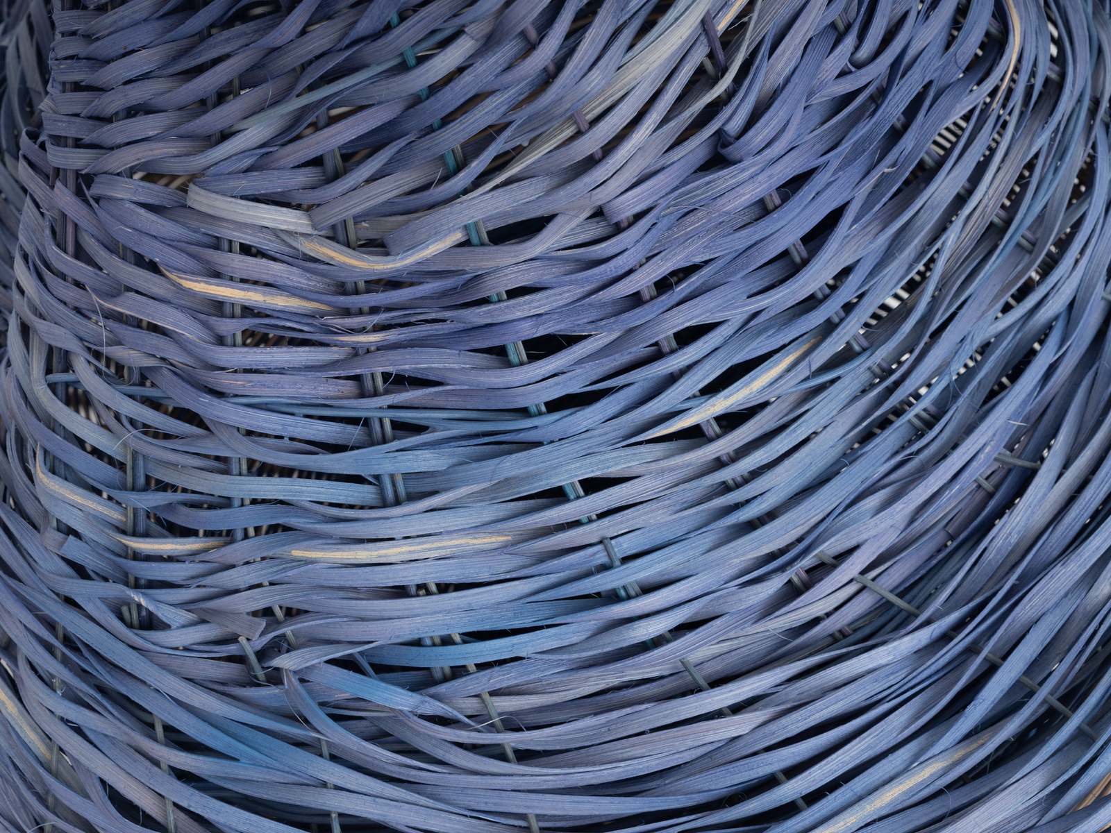 Dee Clements, Grotesque Flowers; Chosen/not chosen, 2024