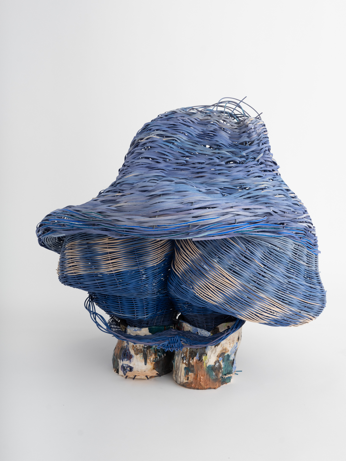 Dee Clements, Grotesque Flowers; Chosen/not chosen, 2024