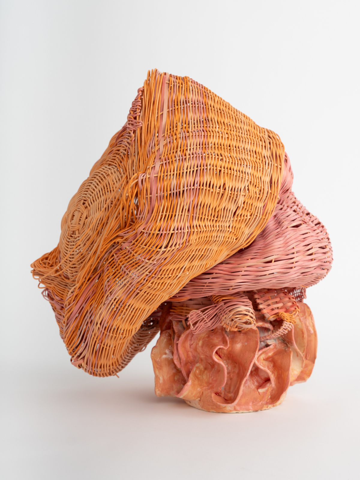 Dee Clements, Grotesque Flowers; Polyp, 2024