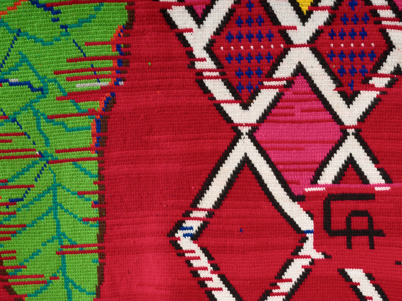 Claudia Alarcón, El futuro de fuerza ancestral y nuestras orejas, 2024