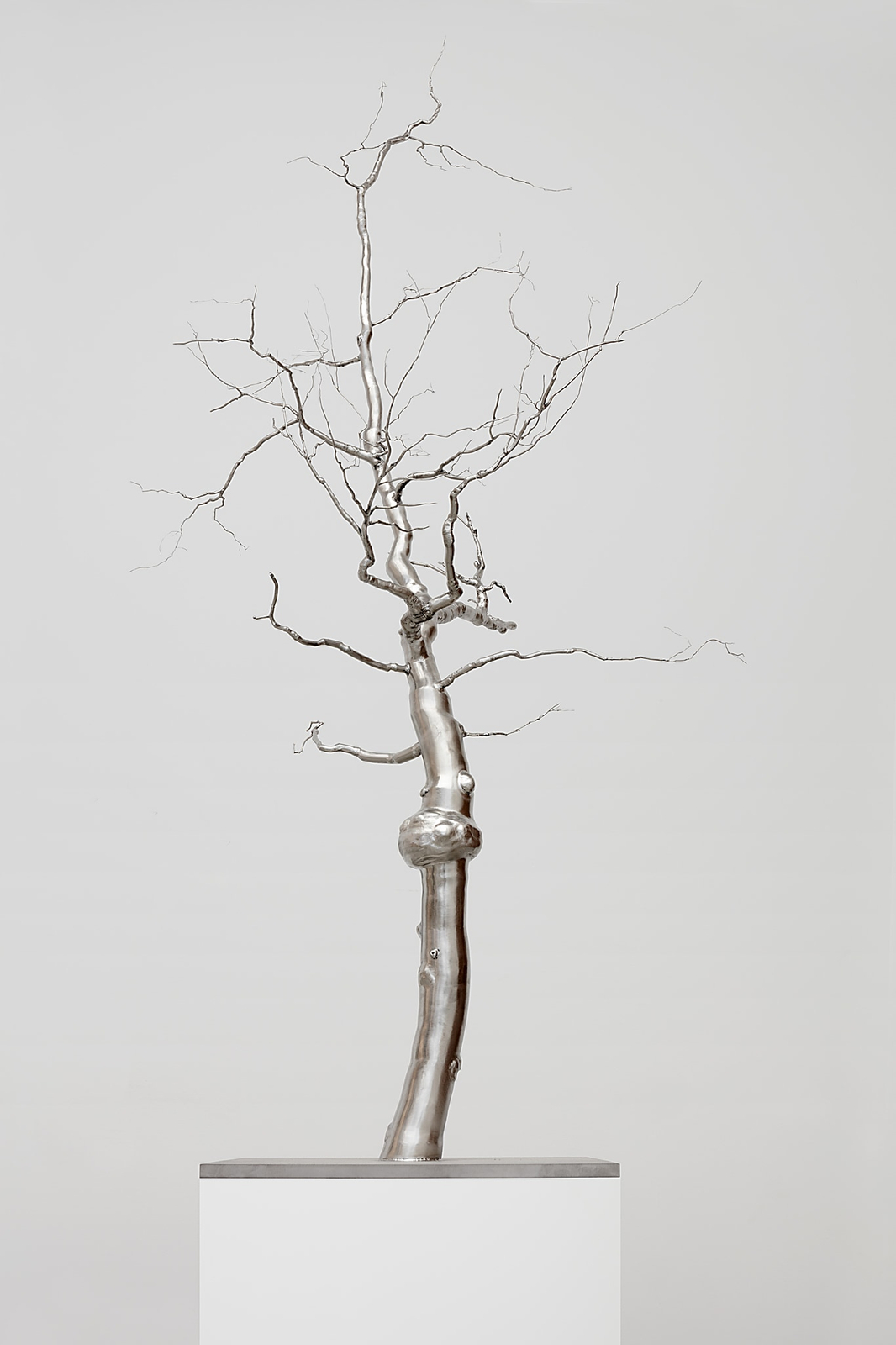 Roxy Paine, Caption, 2017