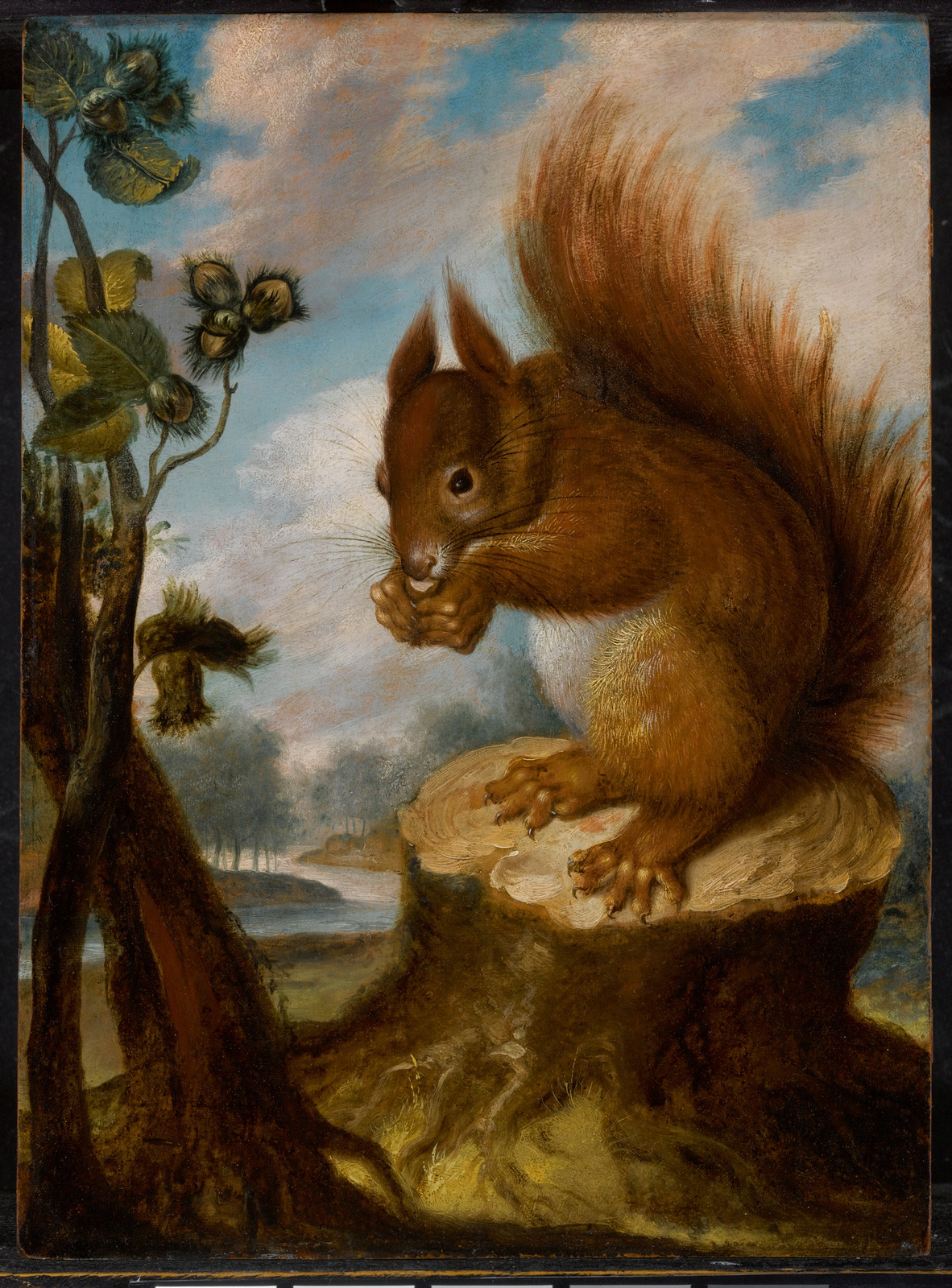 German School, 17th Century, A Squirrel Eating a Hazel Nut on a Tree Trunk, 17th century