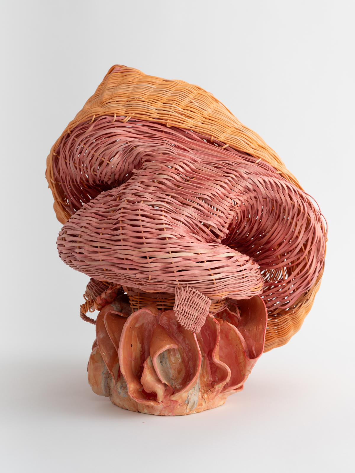Dee Clements, Grotesque Flowers; Polyp, 2024