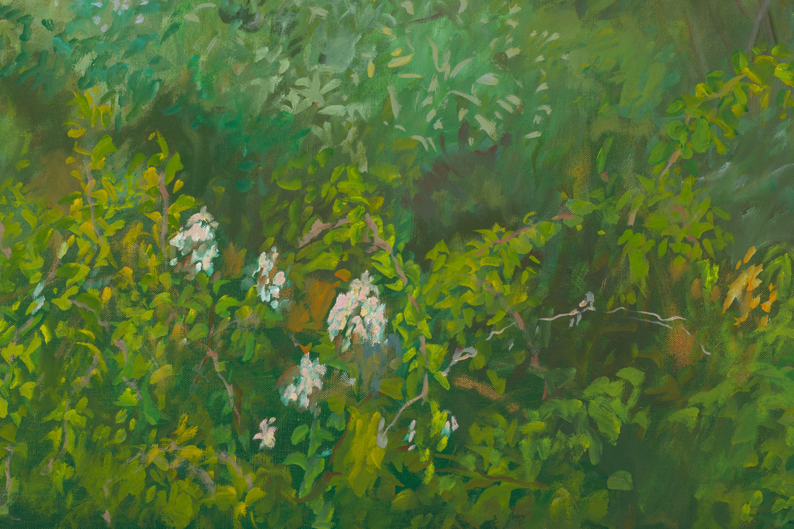 Jane Freilicher, Thicket and Field, 1984