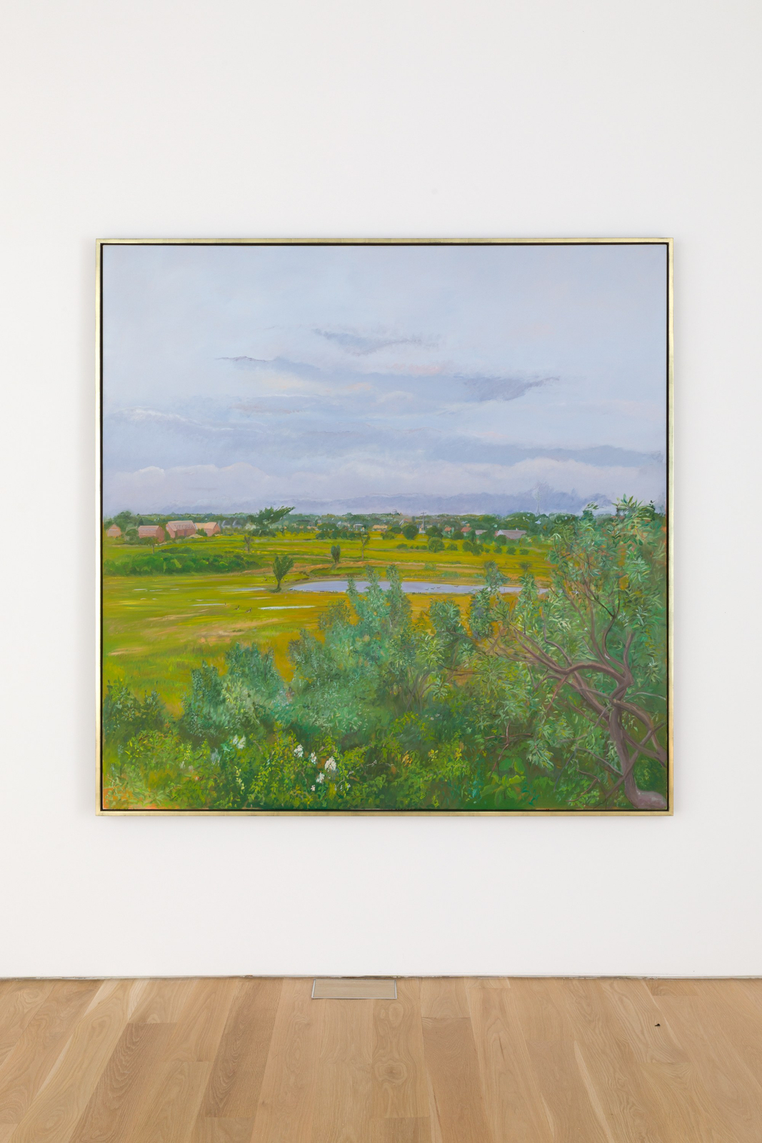 Jane Freilicher, Thicket and Field, 1984