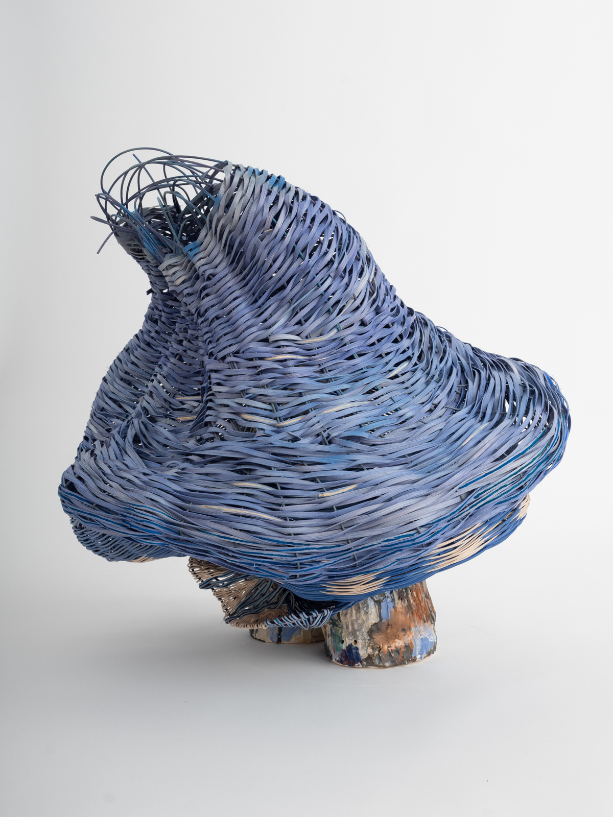 Dee Clements, Grotesque Flowers; Chosen/not chosen, 2024