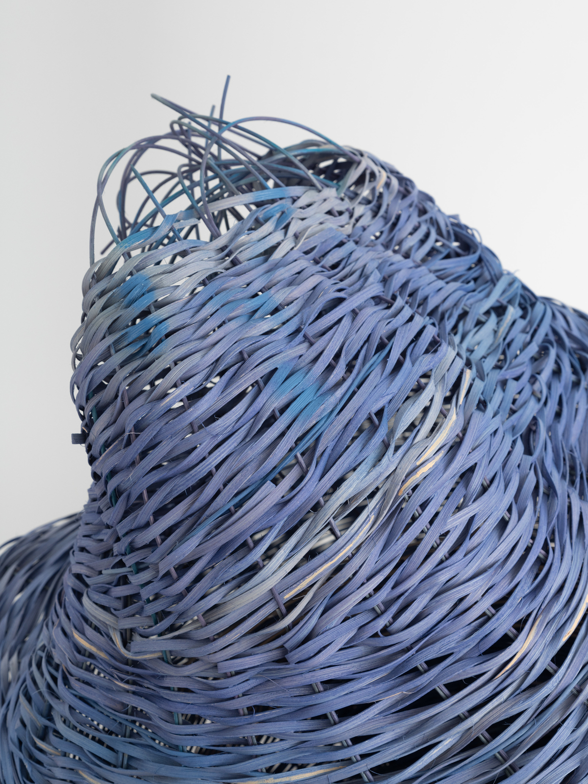 Dee Clements, Grotesque Flowers; Chosen/not chosen, 2024