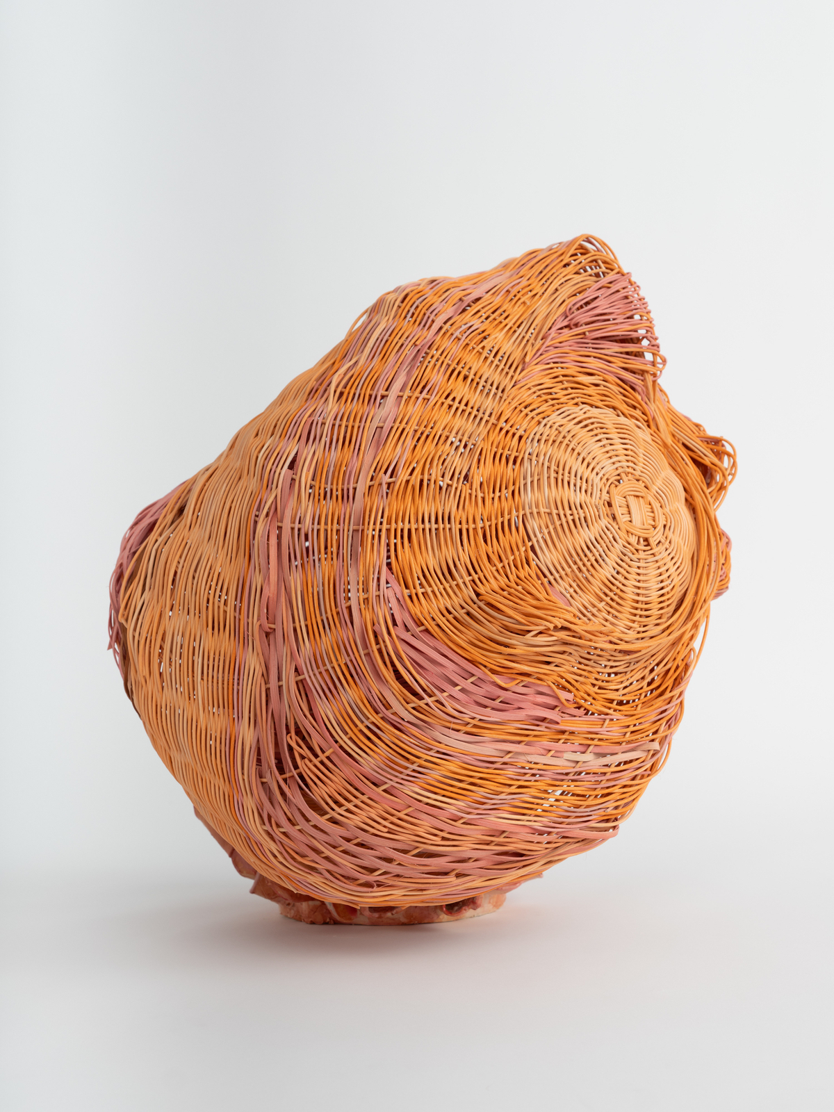 Dee Clements, Grotesque Flowers; Polyp, 2024