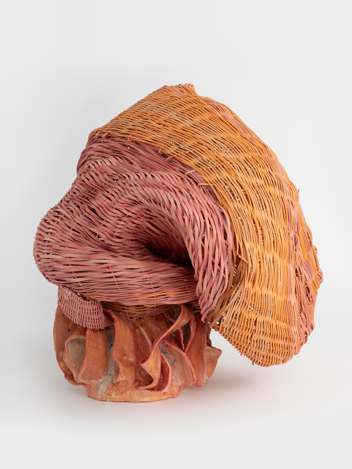 Dee Clements, Grotesque Flowers; Polyp, 2024