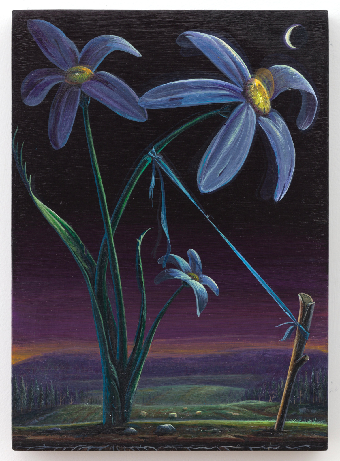 Alexander Harrison, Ribbon of Disparity, 2023