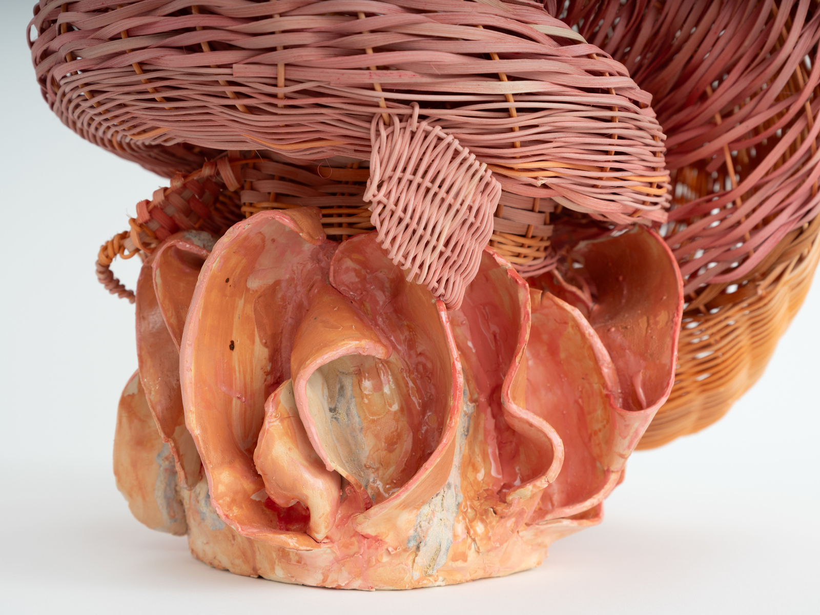 Dee Clements, Grotesque Flowers; Polyp, 2024