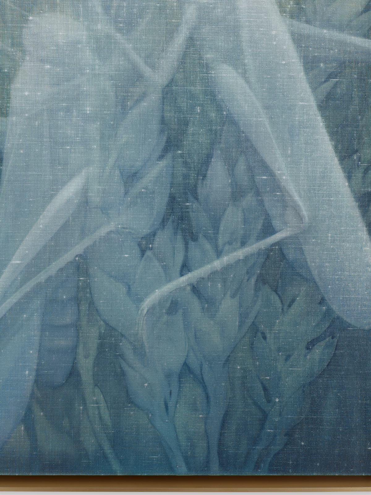 Theodora Allen, Locust, 2024