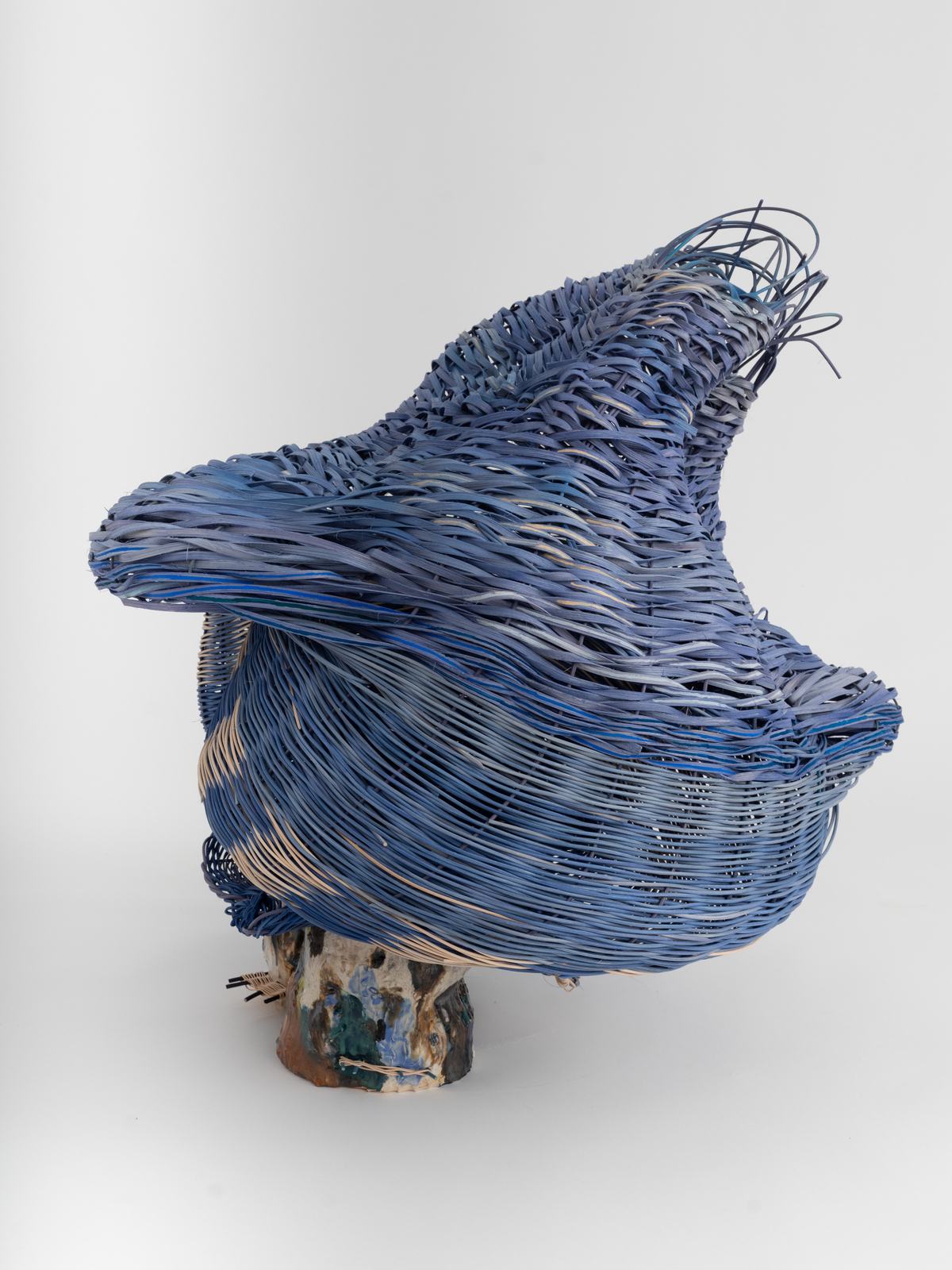 Dee Clements, Grotesque Flowers; Chosen/not chosen, 2024