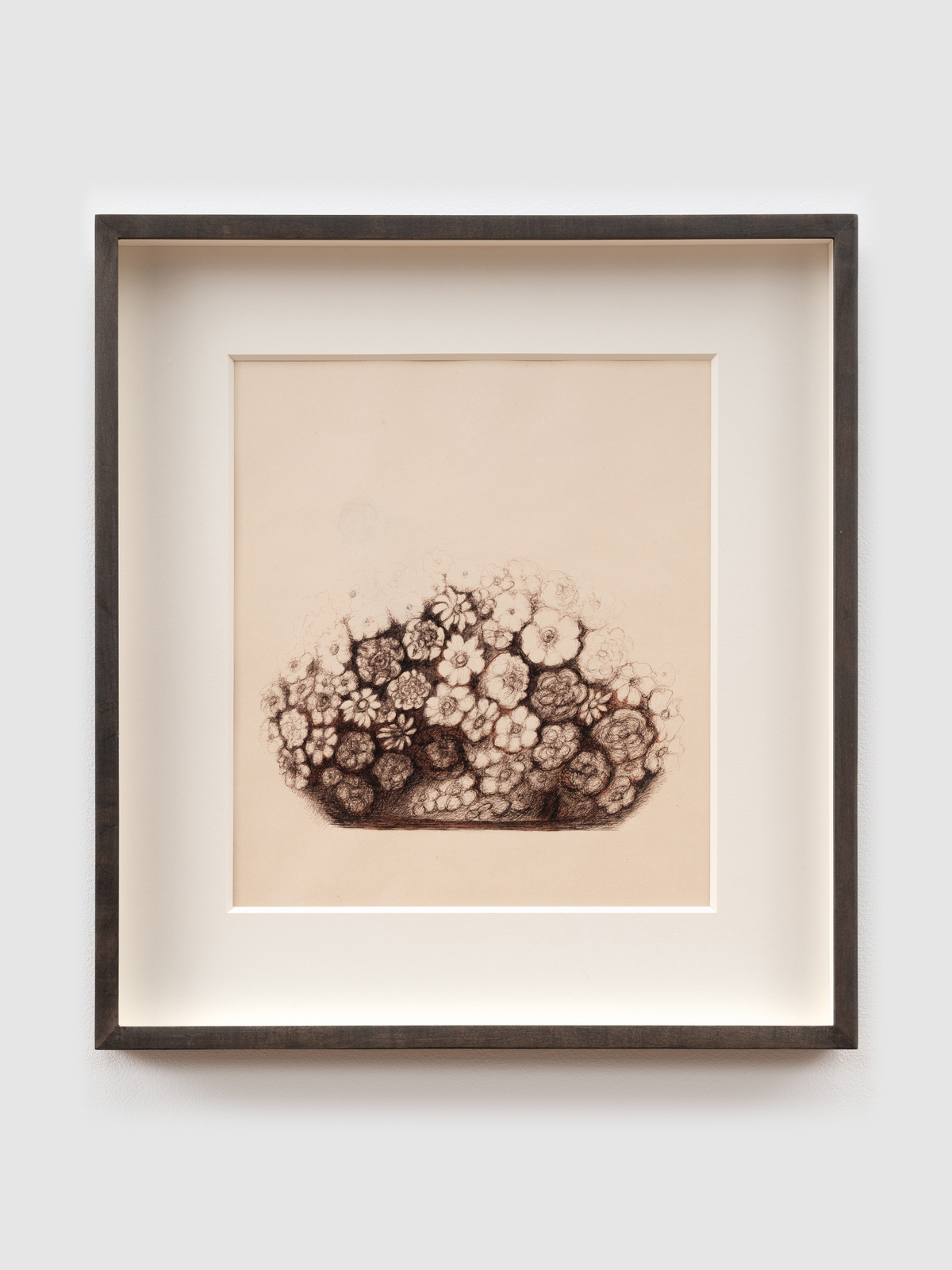 Hedda Sterne, Untitled (Flowers), 1975