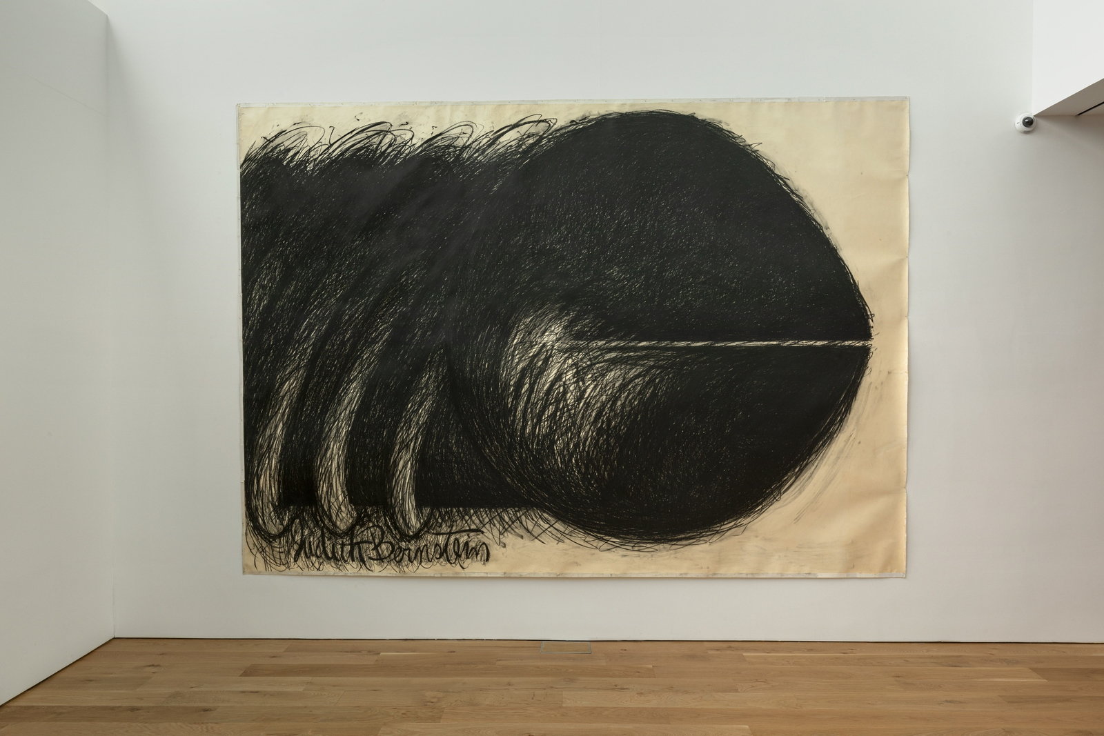 Judith Bernstein, Horizontal, 1973