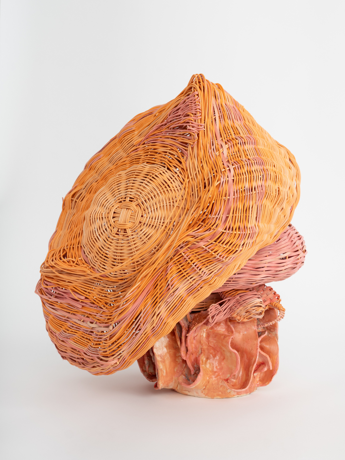 Dee Clements, Grotesque Flowers; Polyp, 2024