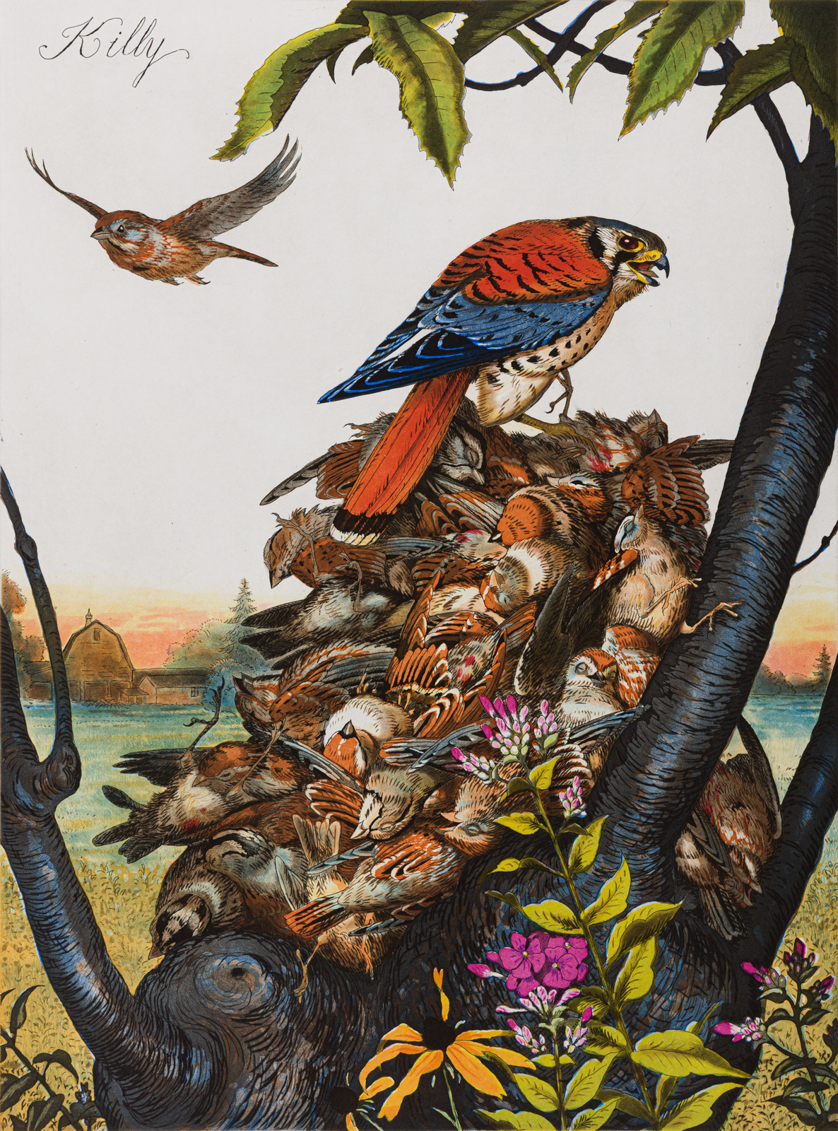 Walton Ford, Killy, 2019