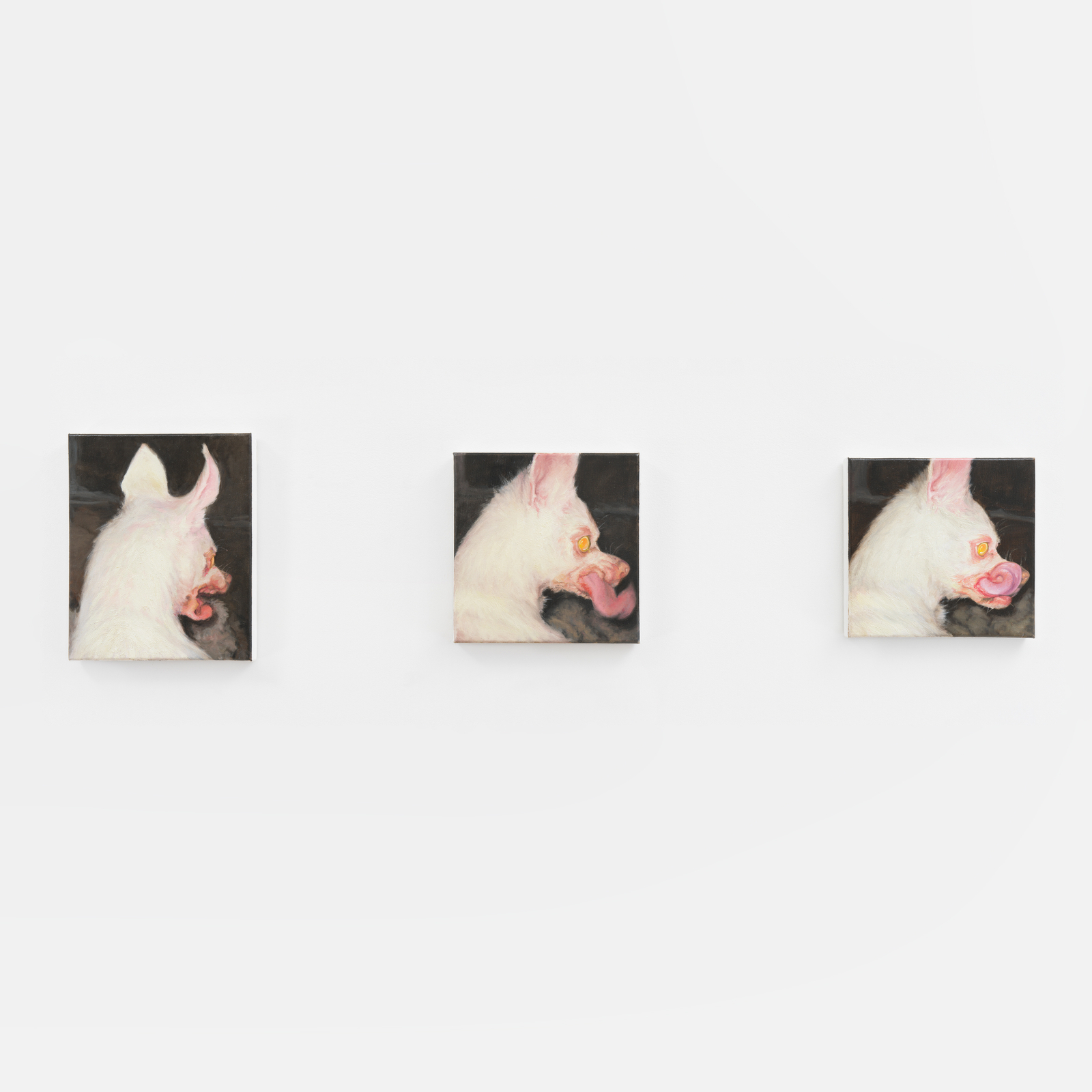 Robert Roest, Saying in tongues (3), 2024