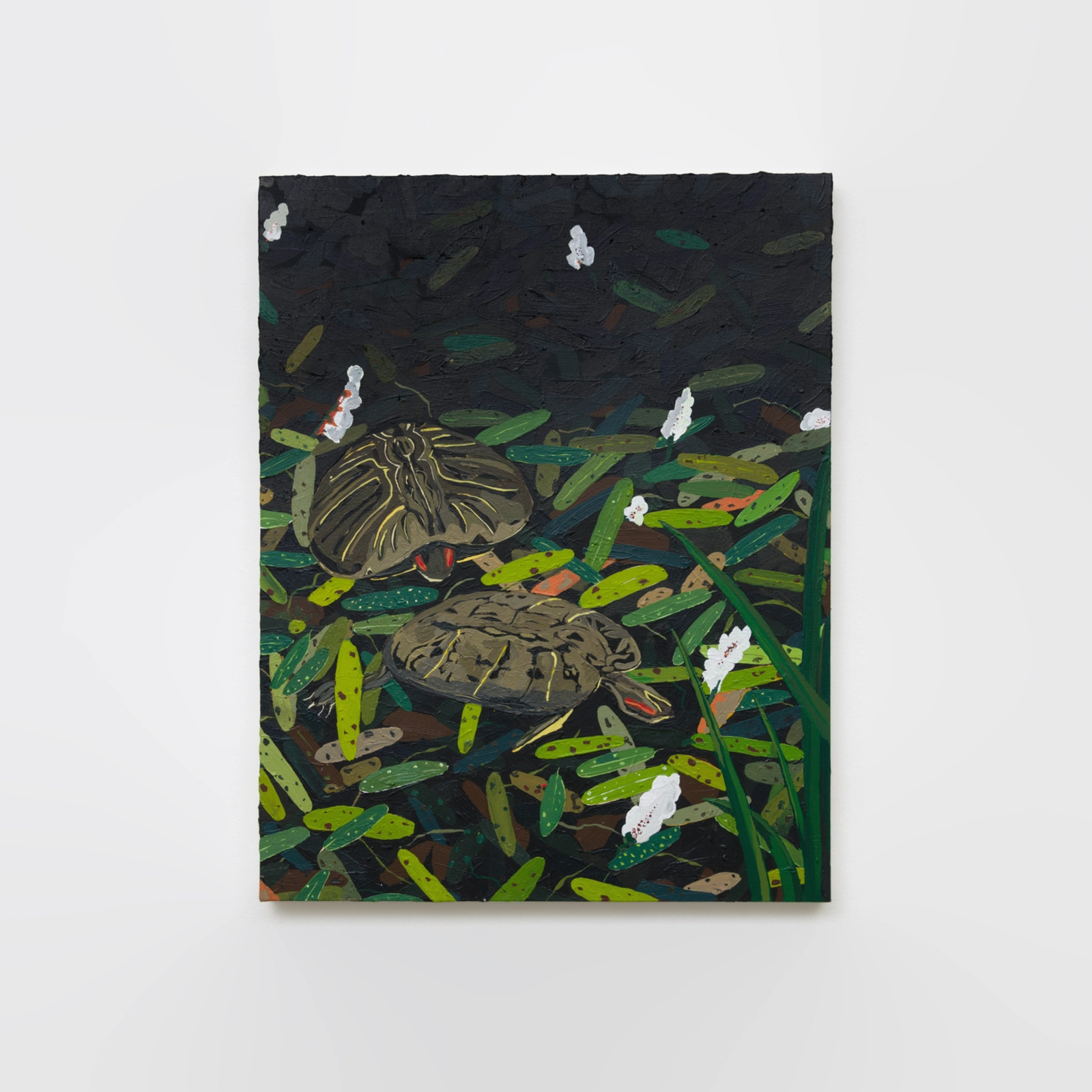 Hilary Pecis, Two Turtles, 2018