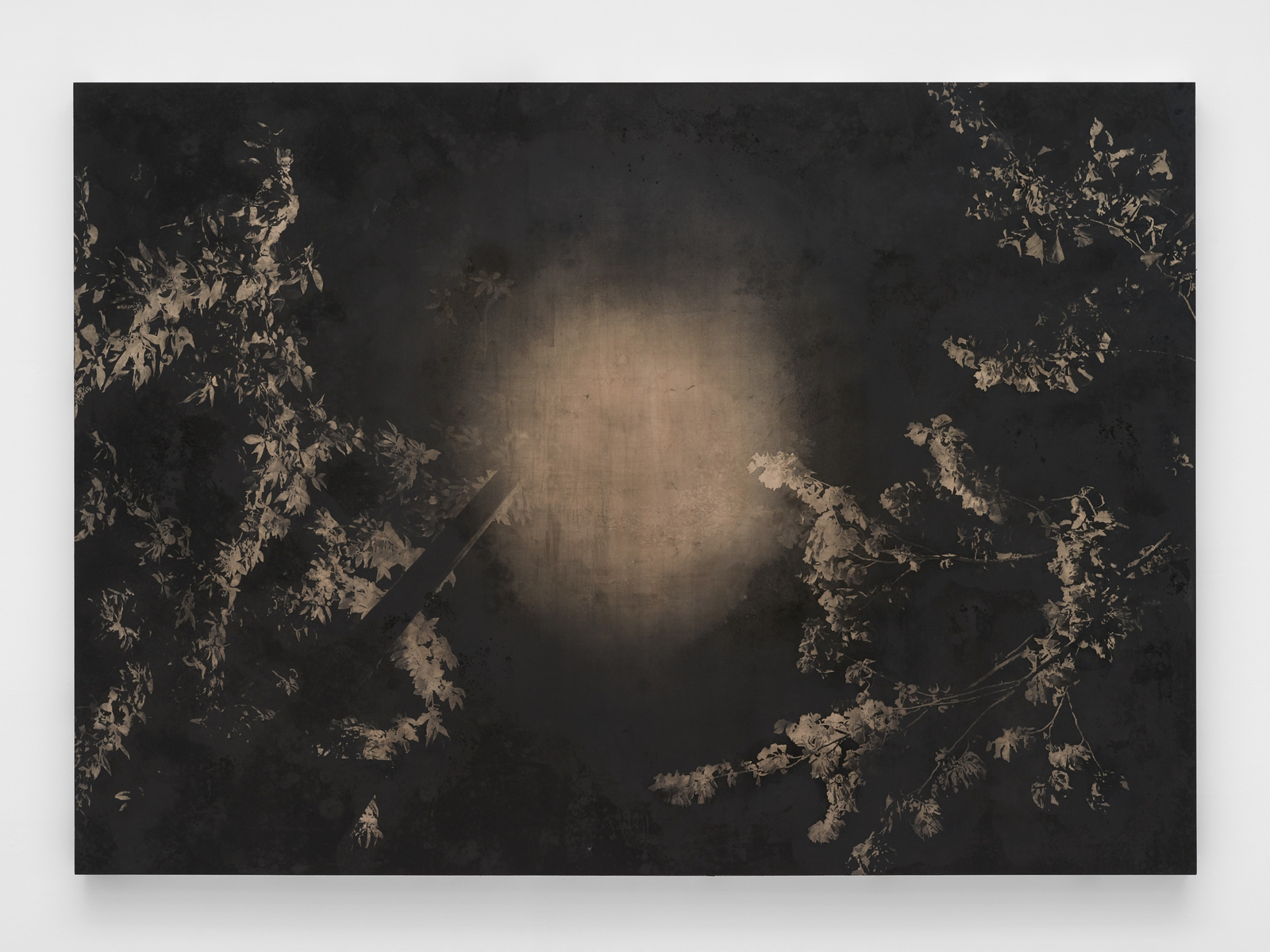 Olu Ogunnaike, 23:16_8 May 2020, 2021