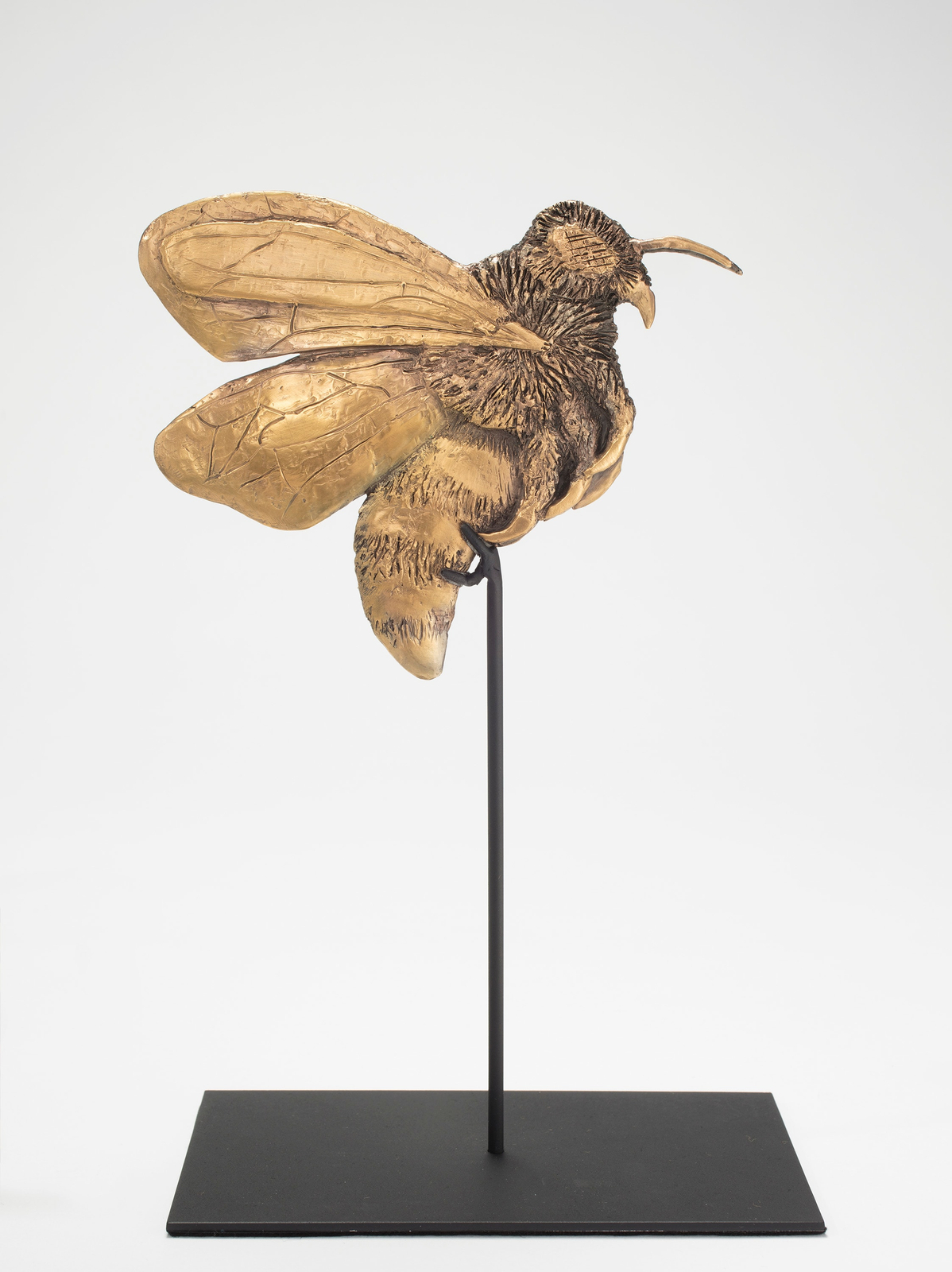 Kiki Smith, Forager B, 2017