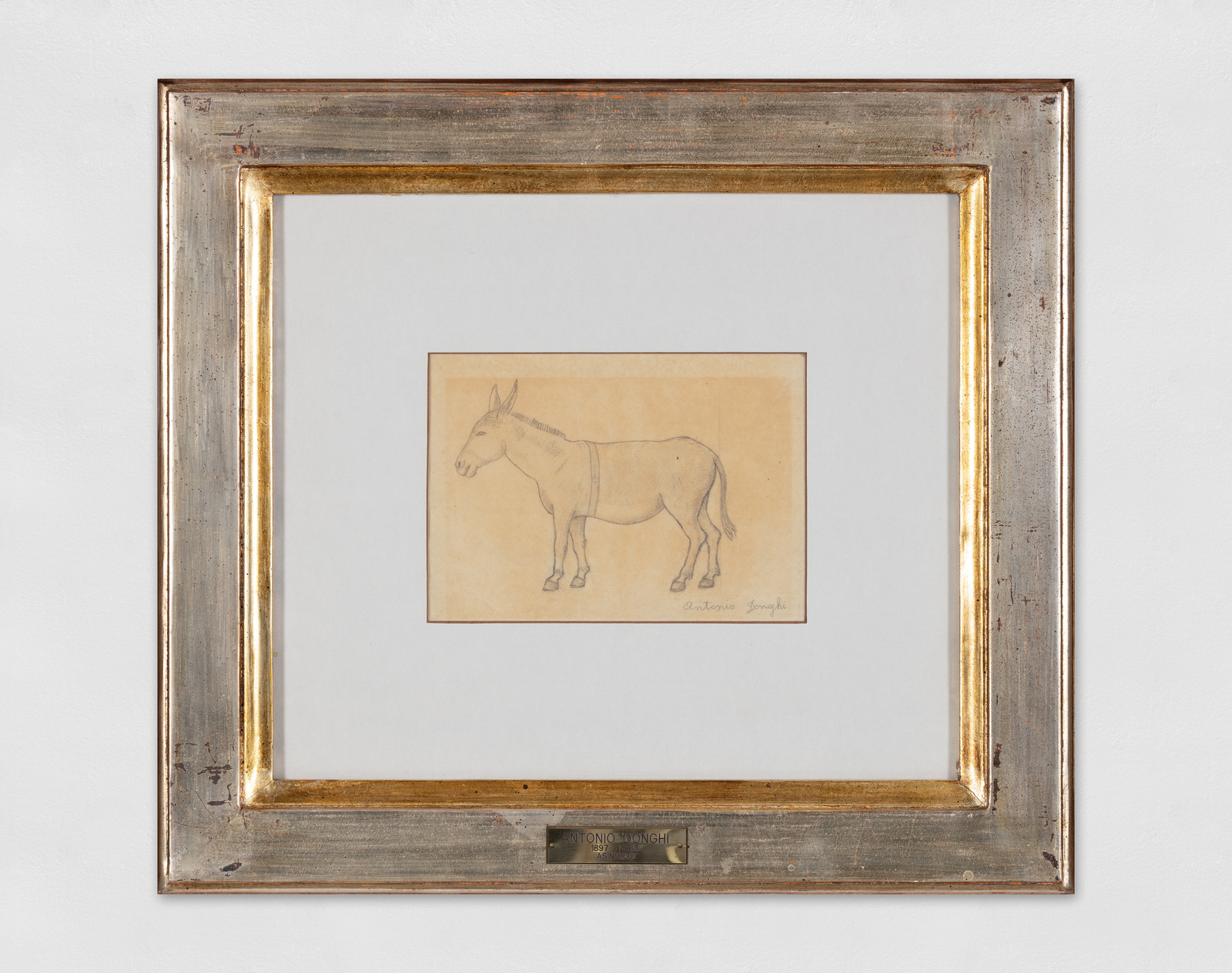 Pencil drawing on paper of a Donkey and a study for the painting Asinello (studio per 