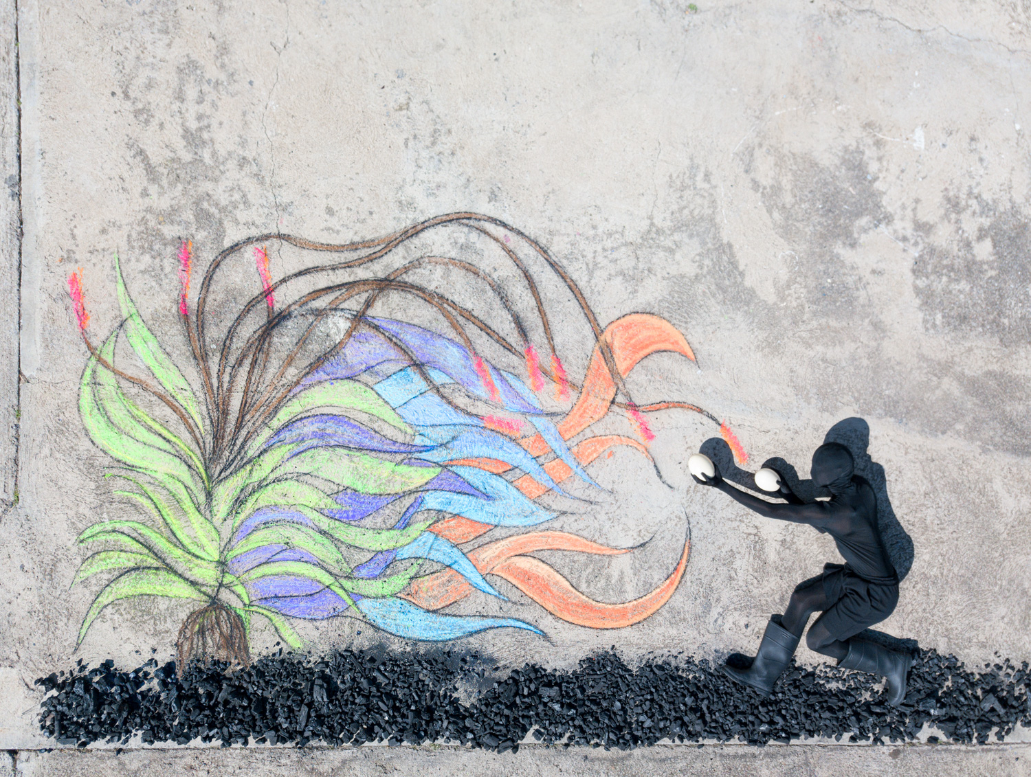 ROBIN RHODE 羅賓．羅德