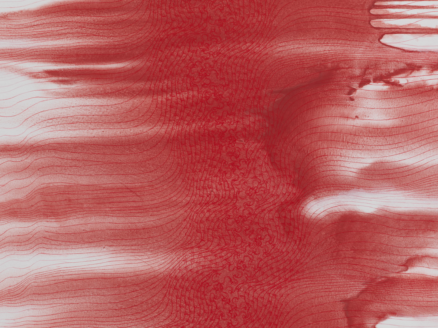 SHIRAZEH HOUSHIARY 施拉泽 &middot; 赫什阿里