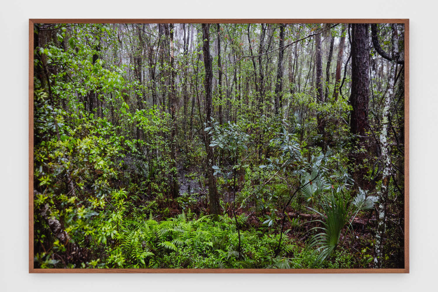 CATHERINE OPIE 嘉芙蓮 &middot; 奧比
