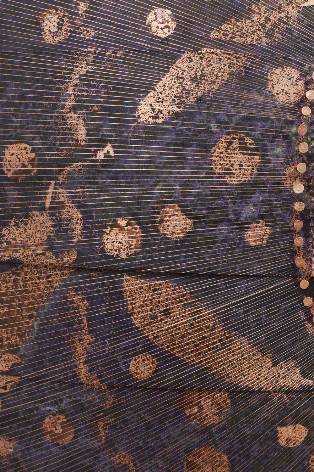 NARI WARD 纳利 &middot; 华德