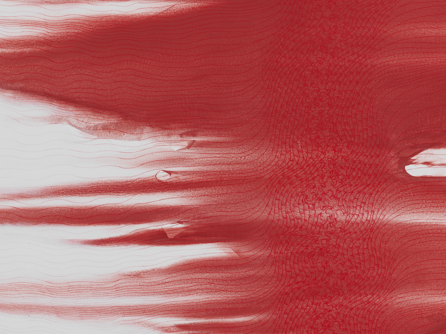 SHIRAZEH HOUSHIARY 施拉泽 &middot; 赫什阿里