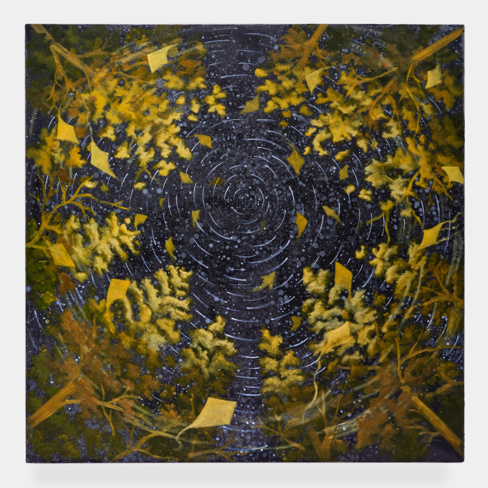 DOMINIC CHAMBERS, Forest Rorschach, 2026