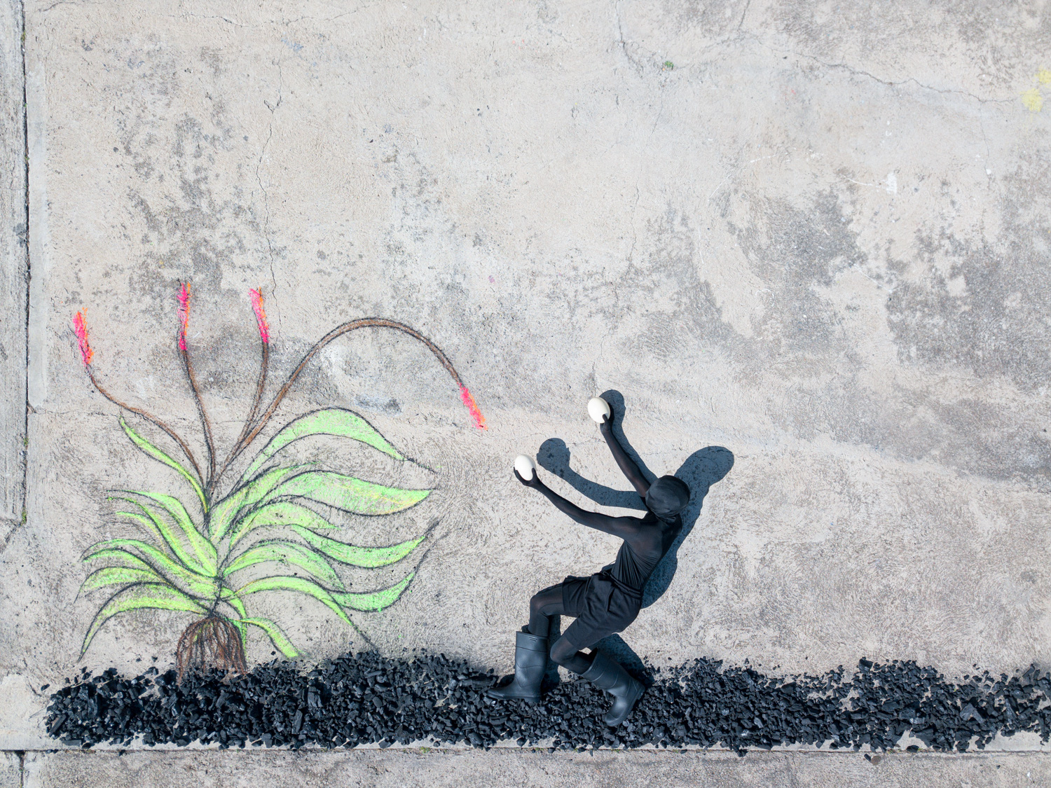 ROBIN RHODE 羅賓．羅德