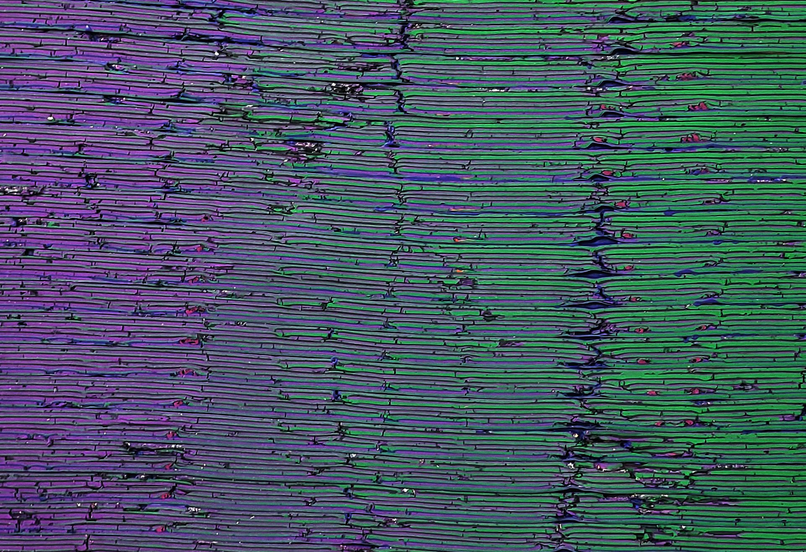 LORIEL BELTR&Aacute;N