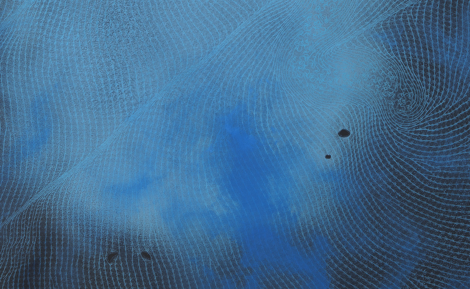 SHIRAZEH HOUSHIARY 施拉泽 &middot; 赫什阿里