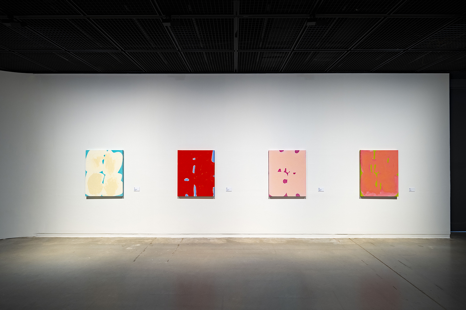 ERWIN WURM 歐文．沃姆