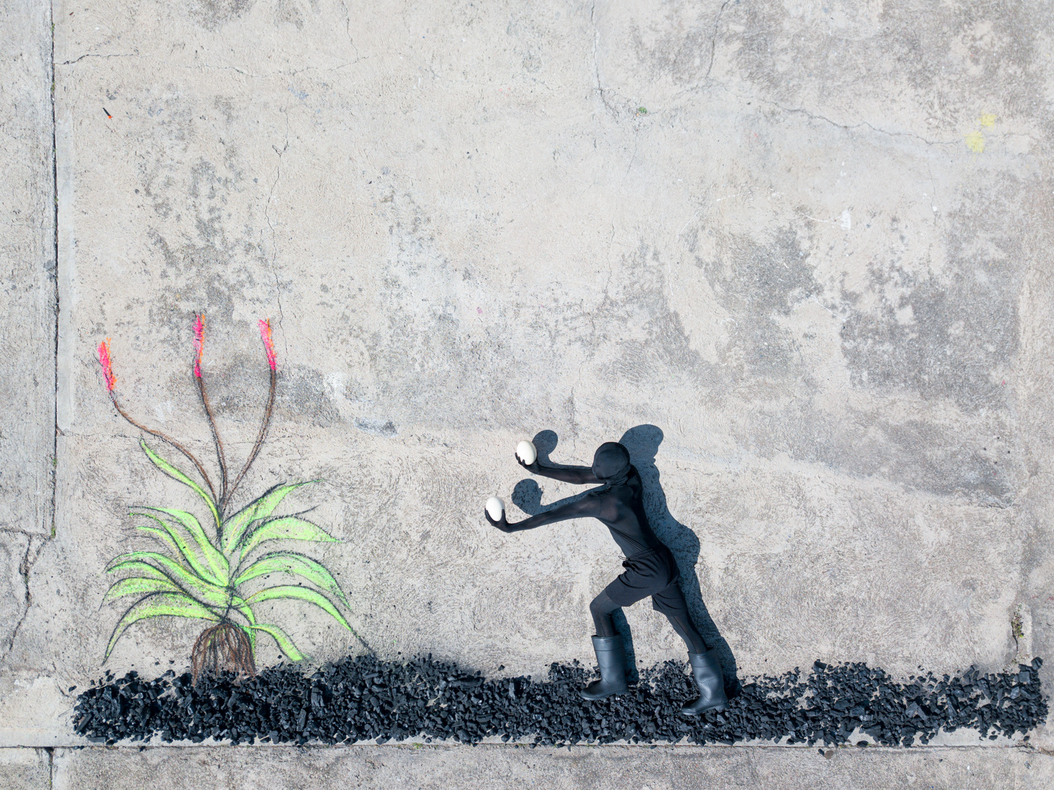 ROBIN RHODE 羅賓．羅德