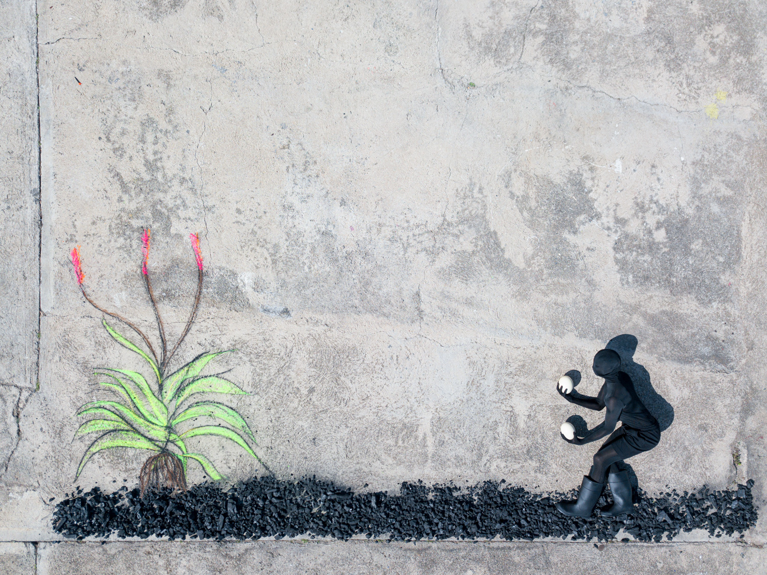 ROBIN RHODE 羅賓．羅德